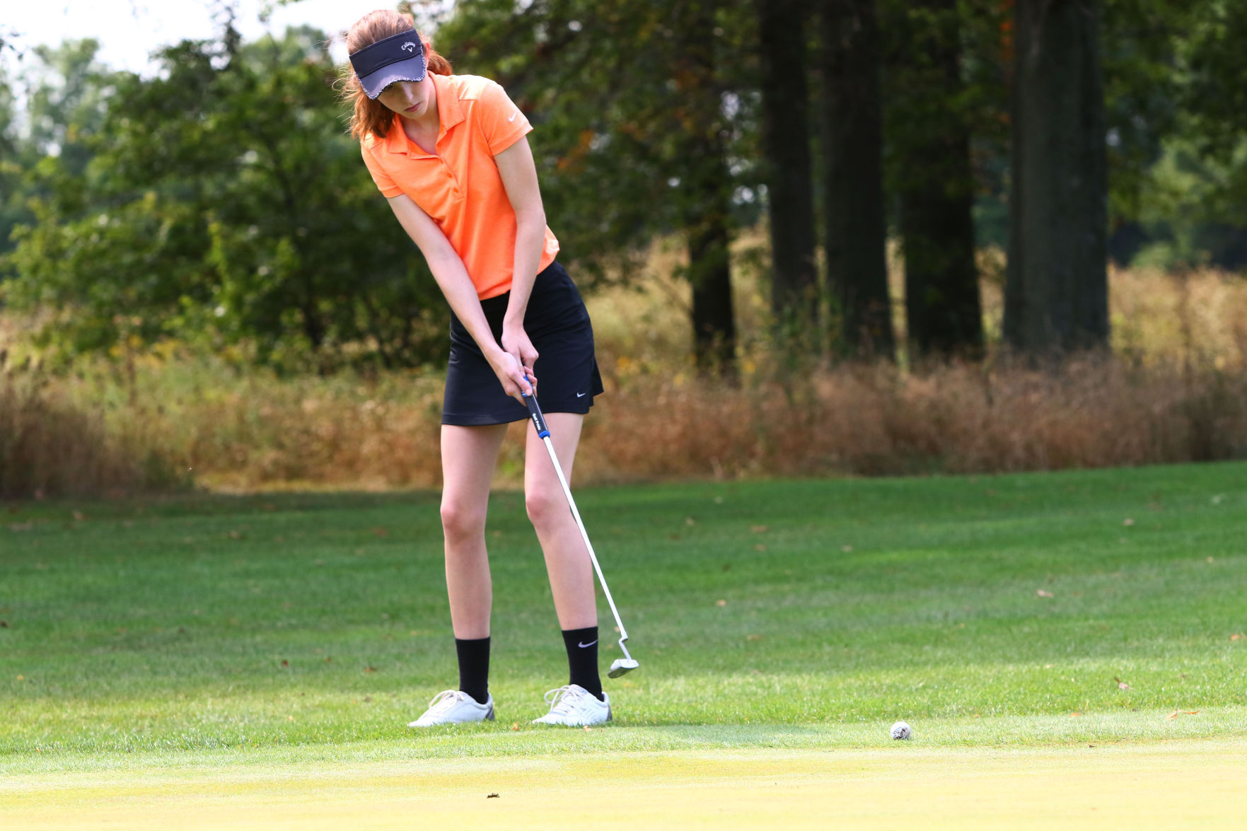 Gallery: Girls Golf Duneland Athletic Conference Tournament